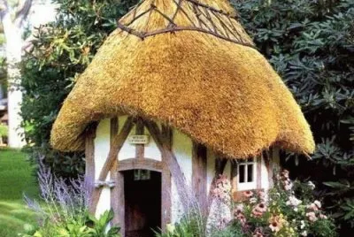 todo paisaje