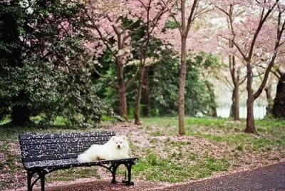 todo paisaje jigsaw puzzle