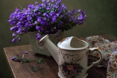 todo paisaje jigsaw puzzle