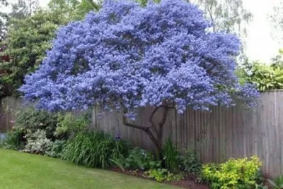 todo paisaje jigsaw puzzle