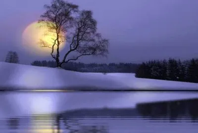 todo paisaje jigsaw puzzle