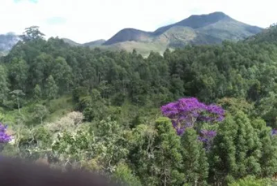 Natureza 02 jigsaw puzzle