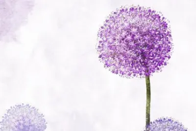 ä¿¡ç´™èƒŒæ™¯åº•åœ– jigsaw puzzle