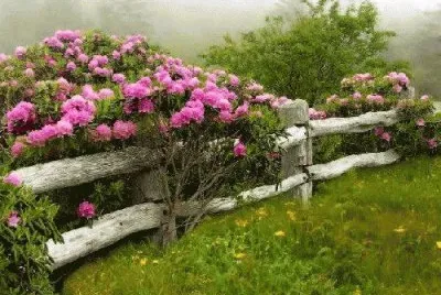 imagens jigsaw puzzle