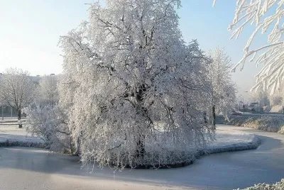 imagens jigsaw puzzle