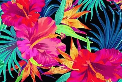 Tropical Flowers jigsaw puzzle