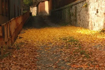 AUTUNNO COSSILA