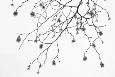 baitello di manavello jigsaw puzzle