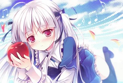 Absolute Duo