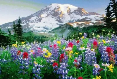 volcÃ¡n jigsaw puzzle