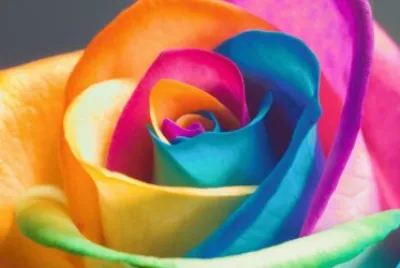 ä¸ƒå½© jigsaw puzzle