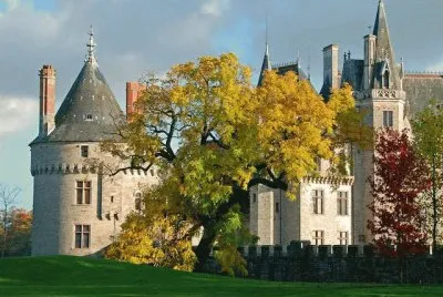 NATUREZA jigsaw puzzle