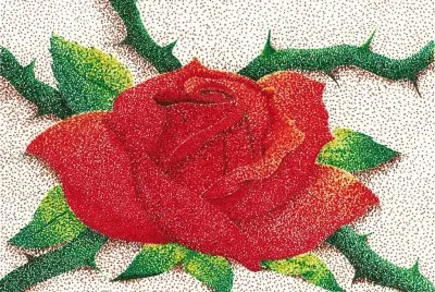 rosa puntillosa jigsaw puzzle