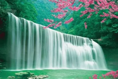 é»ƒæžœæ¨¹ç€‘å¸ƒ jigsaw puzzle