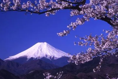 todo paisaje jigsaw puzzle