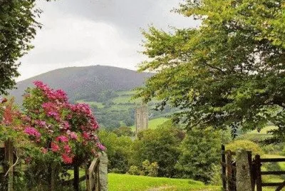 todo paisaje jigsaw puzzle