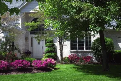 todo paisaje jigsaw puzzle