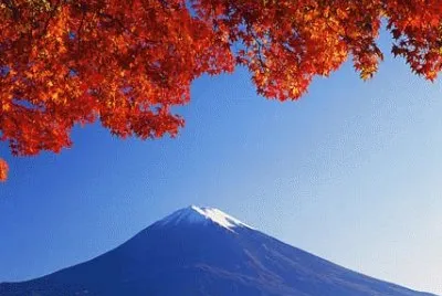 NATUREZA jigsaw puzzle