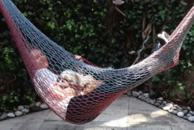 Descansando con su mascota jigsaw puzzle