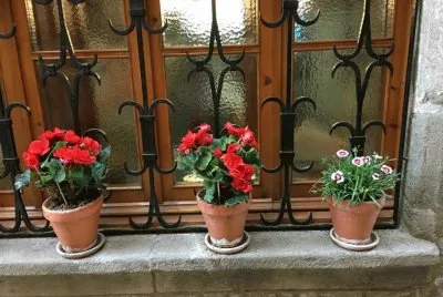 ventana jigsaw puzzle