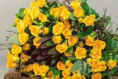 imagens jigsaw puzzle