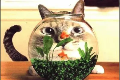 151