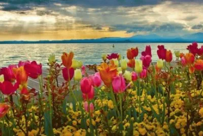 todo paisaje jigsaw puzzle