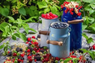 Frutas finas de la Comarca Andina jigsaw puzzle