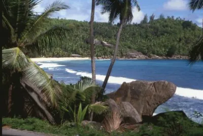 seyshells jigsaw puzzle