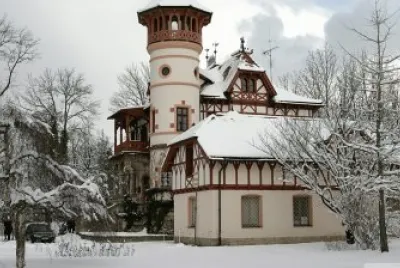 פאזל של house