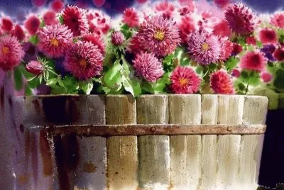 imagens jigsaw puzzle