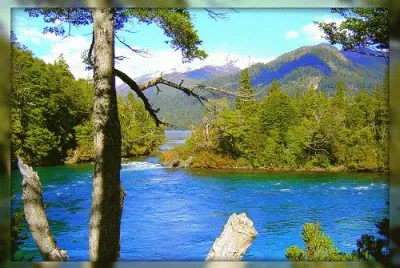 PN Los Alerces. Chubut. Argentina jigsaw puzzle
