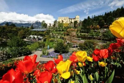 NATUREZA jigsaw puzzle