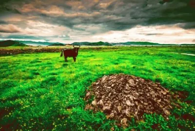 ç´å¸•æµ·æ™¯å½© jigsaw puzzle