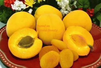 imagens jigsaw puzzle