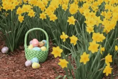 Â¡  Felices Pascuas ! jigsaw puzzle