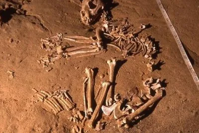 Bear Skeleton in Blackrock cave