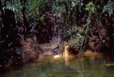 Entrance to Clearwater Cave jigsaw puzzle