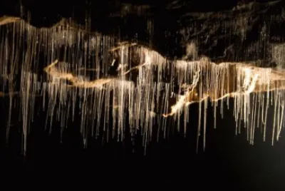 Waitomo Caves