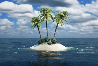 Palm-Tree-Island. jigsaw puzzle