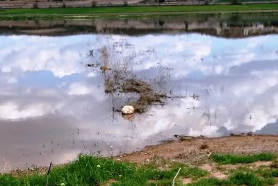 paisaje jigsaw puzzle