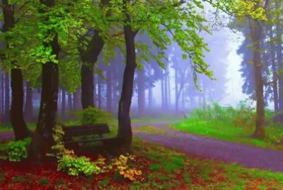 todo paisaje jigsaw puzzle