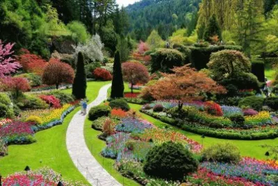 todo paisaje jigsaw puzzle