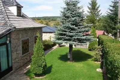 todo paisaje jigsaw puzzle