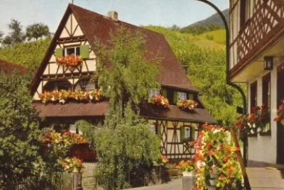 todo paisaje jigsaw puzzle