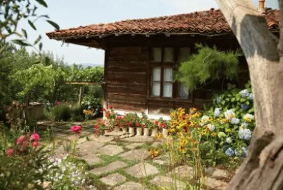todo paisaje