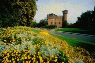 NATUREZA jigsaw puzzle