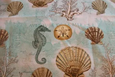 sea shells jigsaw puzzle