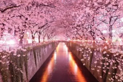 BELLEZA jigsaw puzzle