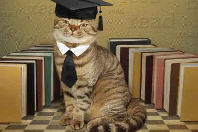 Clever-cat-Books
